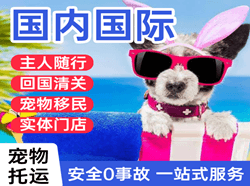 天河机场物流国际宠物托运 【国